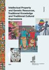 Intellectual Property and Genetic Resources, Traditional Knowledge and Traditional Cultural Expressions By Wipo (Prepared by) Cover Image