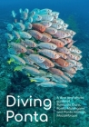 Diving Ponta: A dive and photo guide of Ponta do Ouro, Ponta Malongane and Ponta Mamoli, Mozambique Cover Image