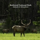 Redwood National Park Animals and Attractions Kids Book: Great Way for Children to See Redwood National and State Parks Cover Image