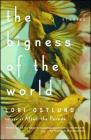 The Bigness of the World: Stories By Lori Ostlund Cover Image