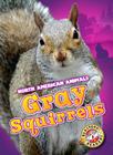 Gray Squirrels (North American Animals) By Christina Leaf Cover Image