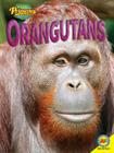 Orangutans (Amazing Primates) By Deb Marshall Cover Image