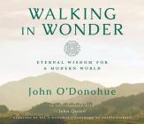 Walking in Wonder: Eternal Wisdom for a Modern World. By John O'Donohue, Ph.D., Pat O'Donohue (Narrator), Krista Tippett (Foreword by) Cover Image