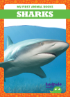 Sharks By Natalie Deniston Cover Image