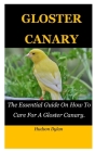 Gloster Canary: The Essential Guide On How To Care For A Gloster Canary. By Hudson Dylan Cover Image