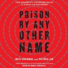 Prison by Any Other Name Lib/E: The Harmful Consequences of Popular Reforms Cover Image