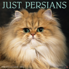 Just Persians 2024 12 X 12 Wall Calendar Cover Image