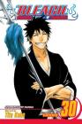 Bleach, Vol. 30 By Tite Kubo Cover Image