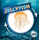 Life Cycle of a Jellyfish (Life Cycles) By Kirsty Holmes Cover Image
