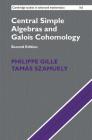 Central Simple Algebras and Galois Cohomology (Cambridge Studies in Advanced Mathematics #165) By Philippe Gille, Tamás Szamuely Cover Image