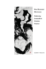 Non Buddhist Mysticism: Performing Irreducible and Primitive Presence (100) Cover Image