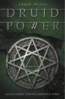 Druid Power: Celtic Faerie Craft & Elemental Magic By Amber Wolfe Cover Image