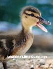 Adorable Little Ducklings Full-Color Picture Book: Chicken and Chicks Picture Book for Children, Seniors and Alzheimer's Patients By Fabulous Book Press Cover Image