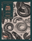 Snakes and Other Reptiles By Kale James Cover Image