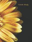 Torah Study: Sunflower Cover Image