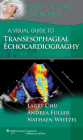 A Visual Guide to Transesophageal Echocardiography (Point of Care Essentials) Cover Image