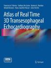 Atlas of Real Time 3D Transesophageal Echocardiography By Francesco F. Faletra, Stefano De Castro, Natesa G. Pandian Cover Image