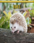 Igel - Coole Fakten für Kinder über diese erstaunlichen und mächtigen Tiere By Lara Comer Cover Image