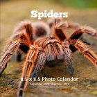 Spiders 8.5 X 8.5 Photo Calendar September 2020 -December 2021: Monthly Calendar with U.S./UK/ Canadian/Christian/Jewish/Muslim Holidays- Insects Natu By Lynne Book Press Cover Image