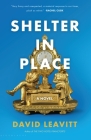 Shelter in Place By David Leavitt Cover Image