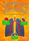 Your Respiration and Circulation: Understand Them with Numbers (Your Body by Numbers) By Melanie Waldron Cover Image