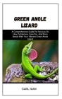 Green Anole Lizard: A Comprehensive Guide For Novices On How To Nurture, Care For, And Form Bonds With Your Vibrant Green Anole Lizard By Carl Juan Cover Image