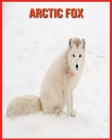 Arctic Fox: Amazing Pictures & Fun Facts on Animals in Nature By Laura Musso Cover Image