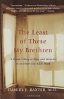 The Least Of These My Brethren: A Doctor's Story of Hope and Miracles in an Inner-City AIDS Ward By Daniel J. Baxter, M.D. Cover Image