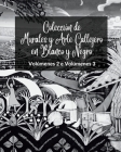 Colección de Murales y Arte Callejero en Blanco y Negro - Volúmenes 2 y 3: Dos libros fotográficos sobre arte y cultura urbanos Cover Image