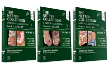 The Netter Collection of Medical Illustrations: Digestive System Package (Netter Green Book Collection) Cover Image