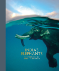 India's Elephants By Annette Bonnier Cover Image
