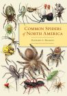 Common Spiders of North America By Richard A. Bradley, Steve Buchanan (Illustrator) Cover Image
