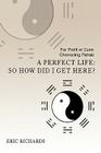 A Perfect Life: So How Did I Get Here?: For Profit or Cure: Chronicling Rehab By Eric Richards Cover Image