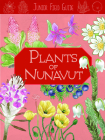 Junior Field Guide: Plants of Nunavut: English Edition Cover Image