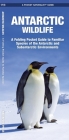 Antarctic Wildlife: A Folding Pocket Guide to Familiar Species of the Antarctic and Subantarctic Environments By James Kavanagh, Waterford Press, Leung Raymond (Illustrator) Cover Image