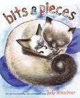 Bits & Pieces By Judy Schachner Cover Image