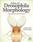 Atlas of Drosophila Morphology: Wild-Type and Classical Mutants By Sylwester Chyb, Nicolas Gompel Cover Image
