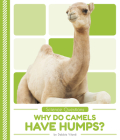 Why Do Camels Have Humps? By Debbie Vilardi Cover Image