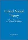 Critical Social Theory: Culture, History, and the Challenge of Difference (Twentieth Century Social Theory) By Craig Calhoun Cover Image