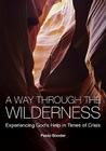 A Way Through the Wilderness: Experiencing God's Help in Times of Crisis By Paula Gooder Cover Image
