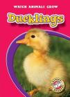 Ducklings (Watch Animals Grow) By Colleen Sexton Cover Image