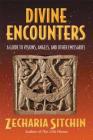 Divine Encounters: A Guide to Visions, Angels, and Other Emissaries By Zecharia Sitchin Cover Image