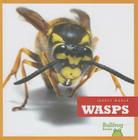 Wasps (Insect World) Cover Image