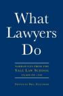 What Lawyers Do By Bill Felstiner (Editor) Cover Image
