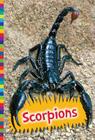 Scorpions (Poisonous Animals) By Elizabeth Raum Cover Image