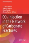Co2 Injection in the Network of Carbonate Fractures By J. Carlos de Dios (Editor), Srikanta Mishra (Editor), Flavio Poletto (Editor) Cover Image