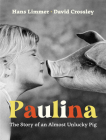 Paulina: The Story of an Almost Unlucky Pig By Hans Limmer, Shelley Tanaka (Translator), David Crossley (Illustrator) Cover Image