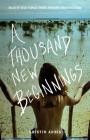 A Thousand New Beginnings By Kristin Addis Cover Image