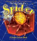 Spider (Life Cycle) By Bobbie Kalman Cover Image