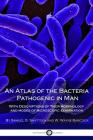 An Atlas of the Bacteria Pathogenic in Man: With Descriptions of Their morphology and modes of microscopic examination Cover Image